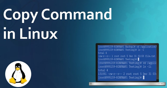 linux復制文件cp命令怎么使用？.png