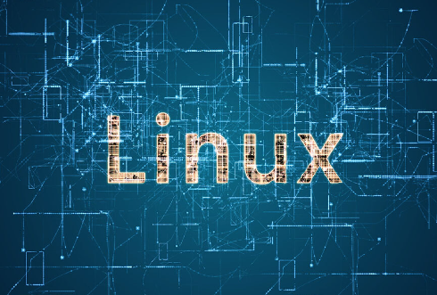 在Linux終端上如何實(shí)現(xiàn)文本流的動態(tài)顯示？.png